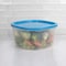 Home Basics 7 Piece Plastic Food Storage Container Set with MultiColored Lids SC47654 - alternate 3